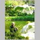 Shakuhachi Player 2.html